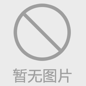 高压往复泵不同于其他类型的泵论述